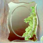 Flotal Ayna